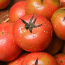 토마토 - 부평구 주부토로22번길 10-1 | 토마토