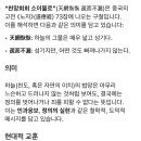 천망회회 소이불로 이미지