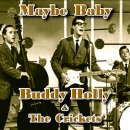 Maybe Baby - Buddy Holly - 이미지