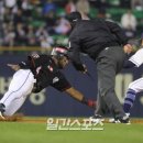 로하스 이미지