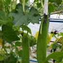 정식농장 이미지