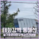 태화강역 주차정보와 자전거로 떠나는 울산 동해선 여행