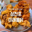 목화커피호프 | 사천 삼천포항 30년전통 미래통닭 현지인 추천 맛집 두바이쫀득쿠키 서진이집 목화휴게소까지 일상블챌