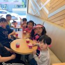 국가대표 경희대 빛 태권도 이미지