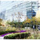 내곡동271 이미지