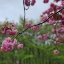 유인목장 이미지