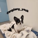 초이미용실 이미지