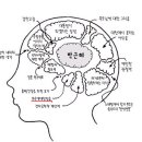 새누리당의 '묻지마-무검증' 친박(親朴)인사 공천 -親朴공천자들은 도덕성과 함께 과거 비리도 문제되지 않는다(?) 이미지