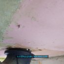 누수탐지119 이미지