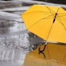 대대당구클럽 이미지