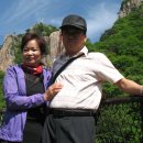 대둔산장 이미지