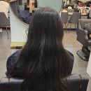 목동 미용실 추천 미용실클리닉 후기 보그헤어 목동점