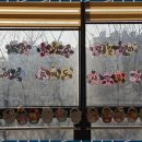 153재가노인복지센터 이미지