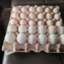 파도농장 이미지