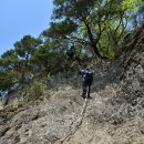 금성산(530.2m)-비봉산(670.5m) - 경북 의성 이미지