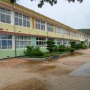 화령초교 이미지