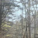 천동명성식당 이미지