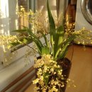 환타지아 이미지