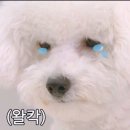정신
