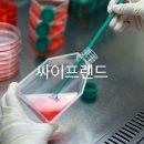 700225 네이버블로그