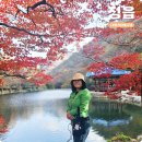 내장산국립공원화장실(신선교옆) | 11월 정읍 가볼만한곳 내장산 단풍여행 내장산국립공원 내장사 로망스투어