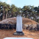 숨그루