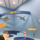 장항식자재마트 | 충남 서천 아이랑 볼거리, 서천 장항오토캠핑장 아이랑가기 좋은곳 씨큐리움 꿀팁!