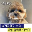 삼송사랑 동물의료센터 이미지