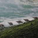 파크우드관광호텔 이미지