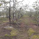 큰길부동산중개사무소 이미지