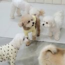 석촌유치원 이미지