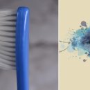 포레스트치과의원 이미지