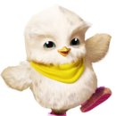 바다나무 이미지