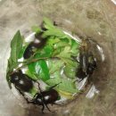 장수하늘소목장 이미지