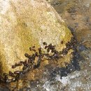 원규농장 이미지