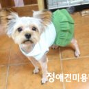 J 애견 미용 이미지