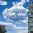 신음동네길 이미지