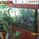 영암군청 종합민원실 이미지