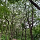 광영그라운드골프장 이미지