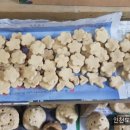 소성어린이집 이미지