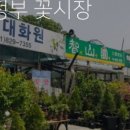 배꼽있는배 농원