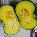 뿌리농장 이미지