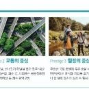 화순 시외버스 공용정류장 이미지