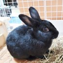 정희축산 이미지