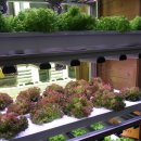 김진수농장 이미지