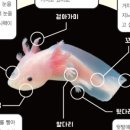 억쌤사이언스