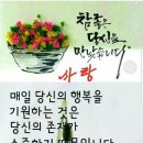 금토끼