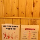 체온담다 이미지