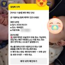 으뜸카서비스 | 에버랜드 2025 산리오 튤립축제 7살 형아 13개월 동생과 다녀온 후기