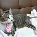 주안1동 행정복지센터 이미지